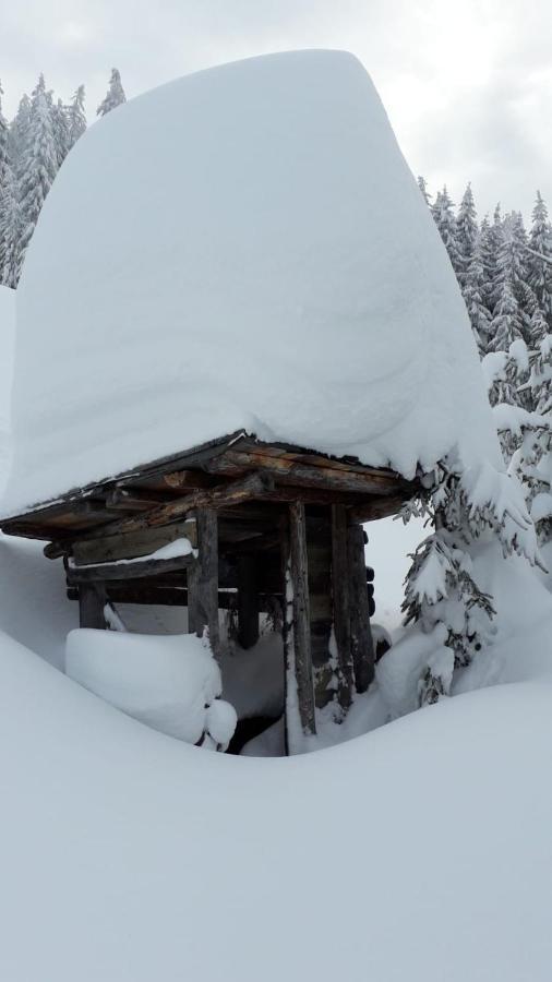 Haus Hoellwart Sankt Johann im Pongau Εξωτερικό φωτογραφία